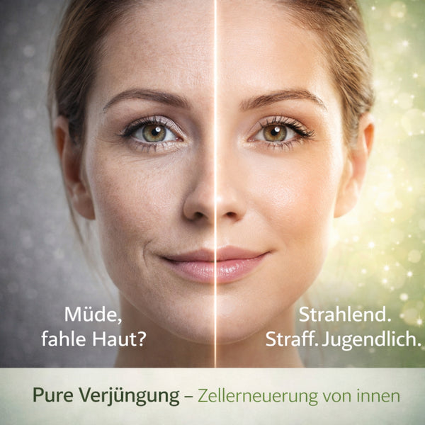 Pure Verjüngung - Inhaltsstoffe