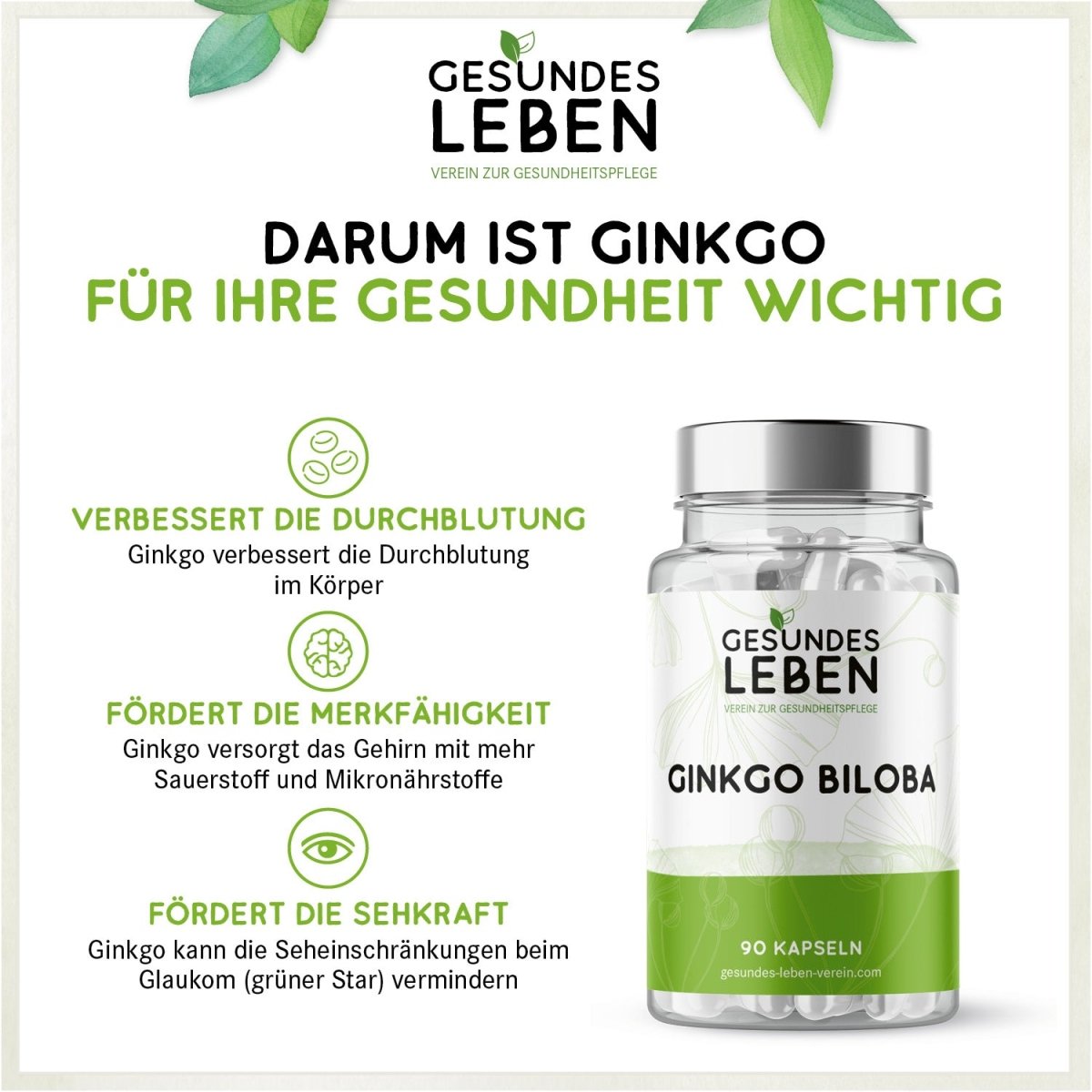 Gesundes Leben - Ginkgo Biloba - 90 Kapseln - HS Activa