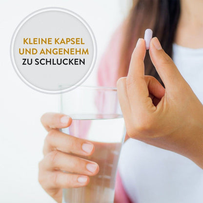 Gesundes Leben - Ginkgo Biloba - 90 Kapseln - HS Activa